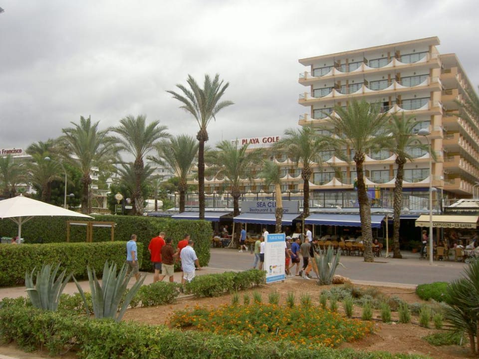 Hotel Hotel Playa Golf
