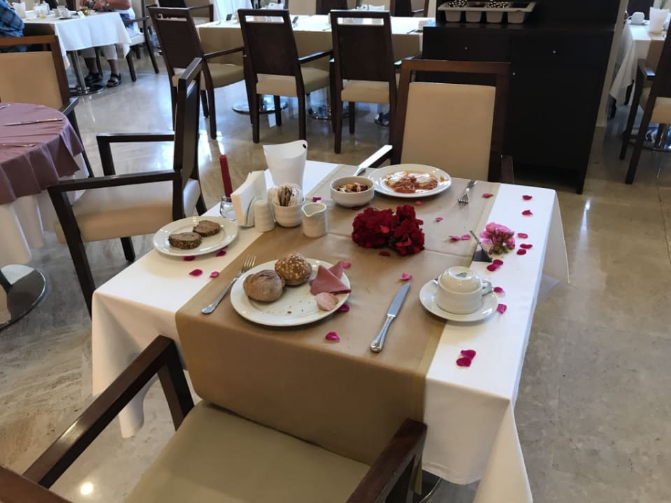 Gastro Arum Barut Collection