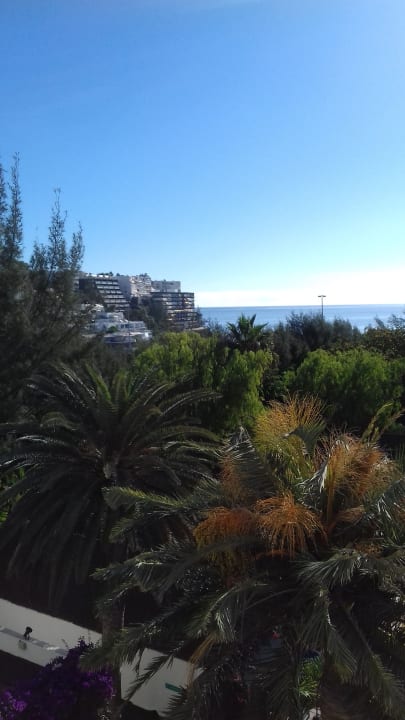 Gartenanlage Bull Costa Canaria & Spa - Adults only
