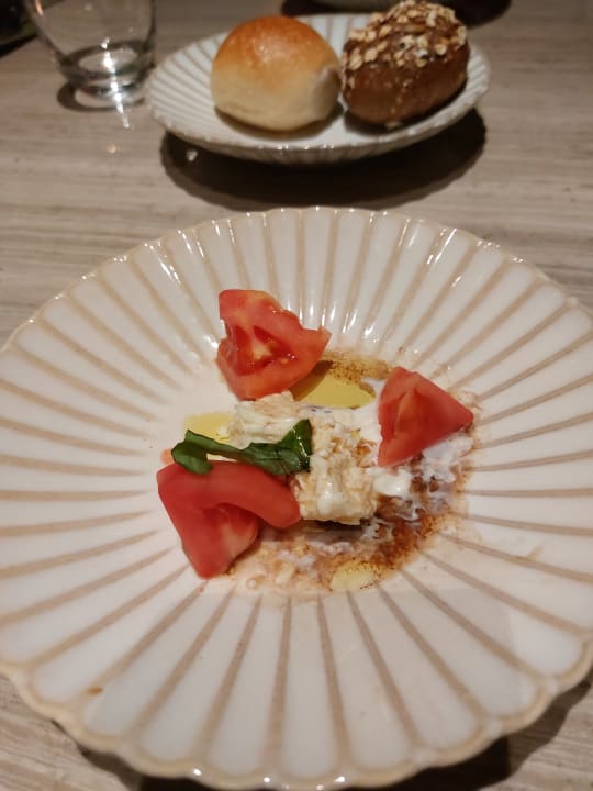 Gastro Acanthus Cennet Barut Collection