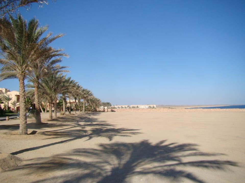 Blick aufs Meer Steigenberger Coraya Beach - Adults only