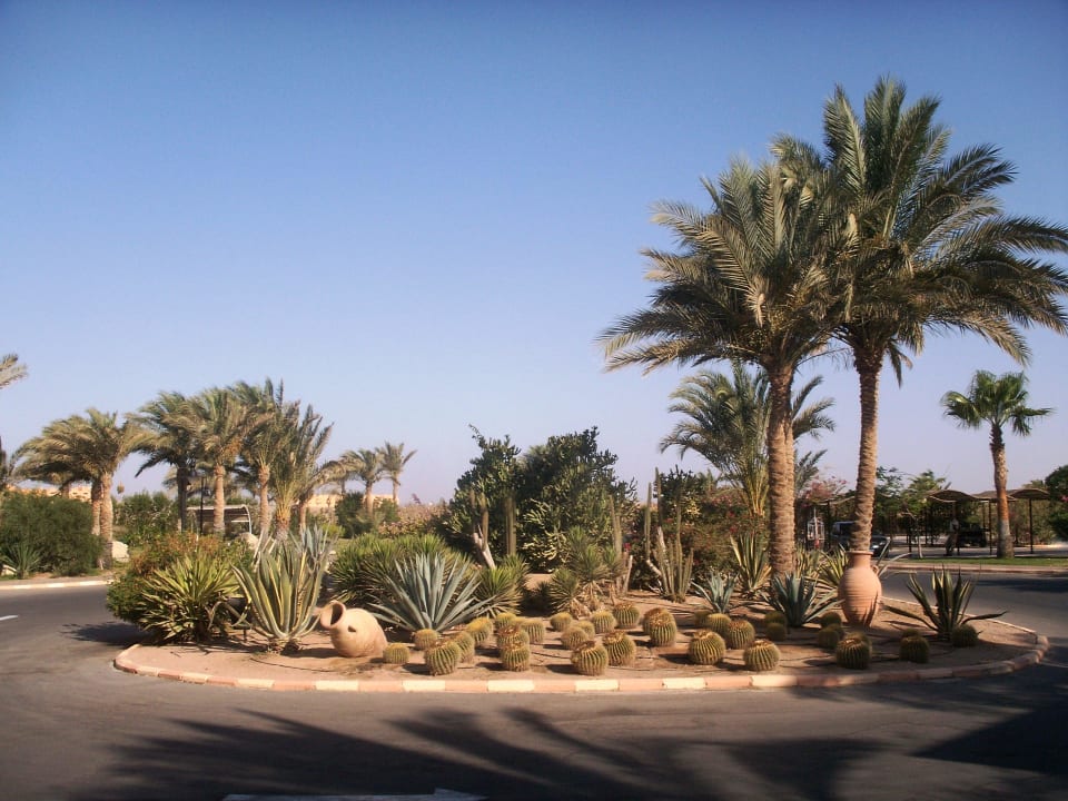 Hotel-Vorfahrt Steigenberger Coraya Beach - Adults only