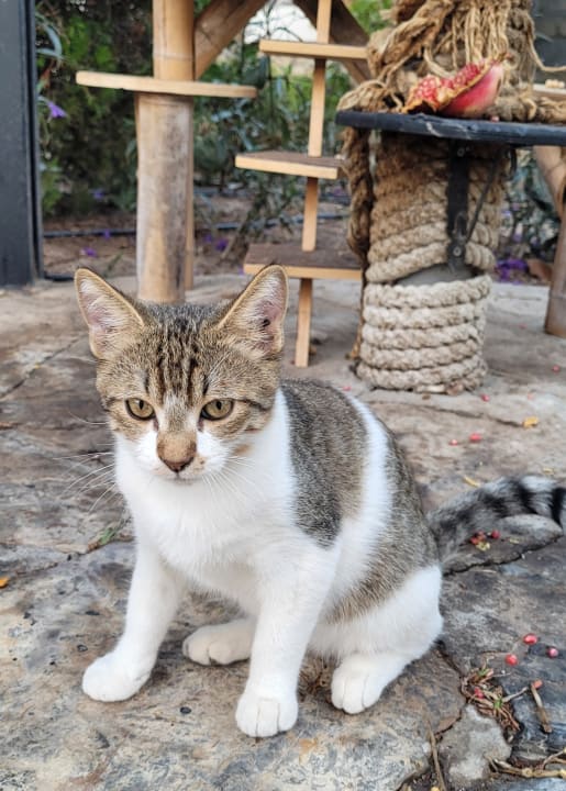 Sonstiges Bodrum Park Resort