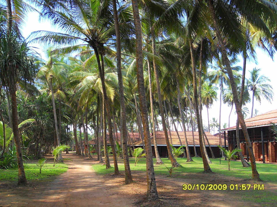 Anlage Hotel Club Bentota