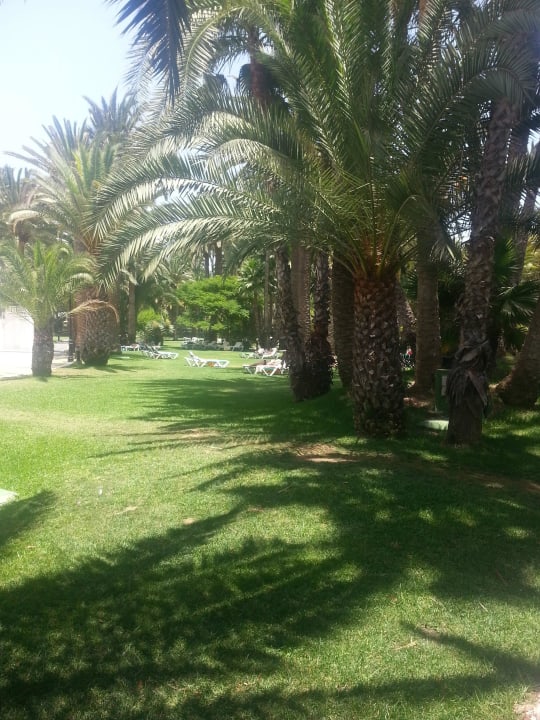 Idyllisch Hotel Riu Palace Oasis
