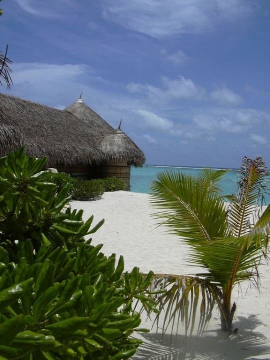 Spa von Außen Summer Island Maldives