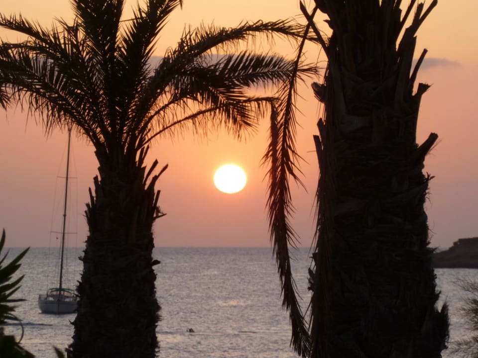 Sonnenuntergang vom Pool aus betrachtet Hotel-Apartamentos Blau Parc