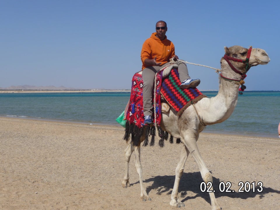 Das Erlebnis für das Kind Swisstouch Oriental Resort Marsa Alam