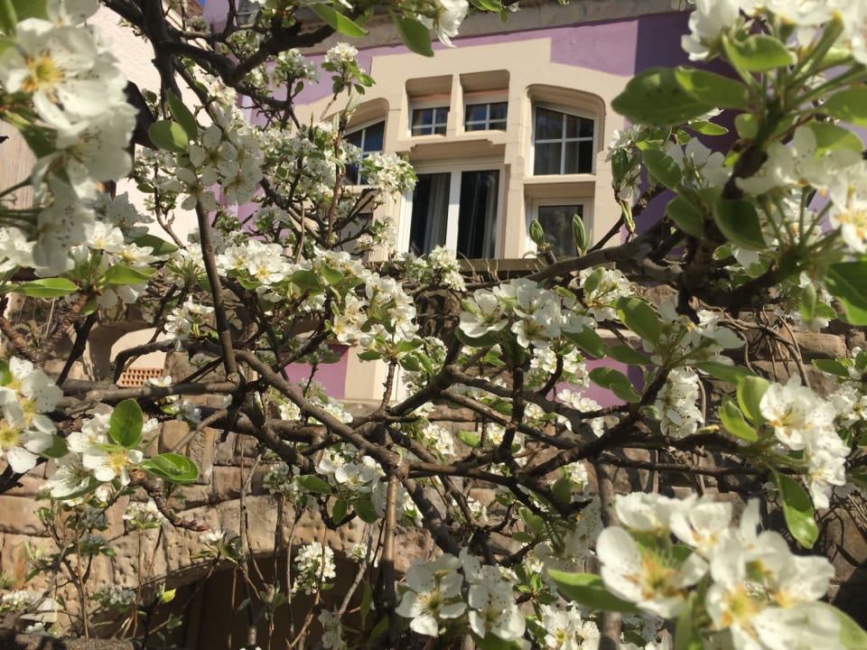 Außenansicht Jugendstil-Hof Guesthouse