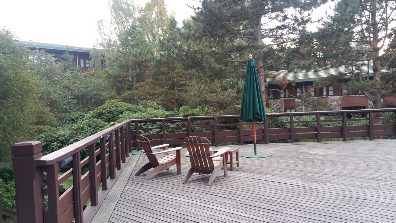 Große Terrasse Disney's Sequoia Lodge