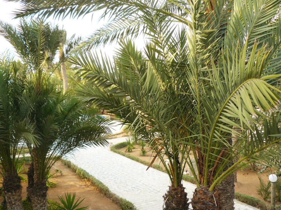 Ausblick von unserem Balkon Zita Beach Resort