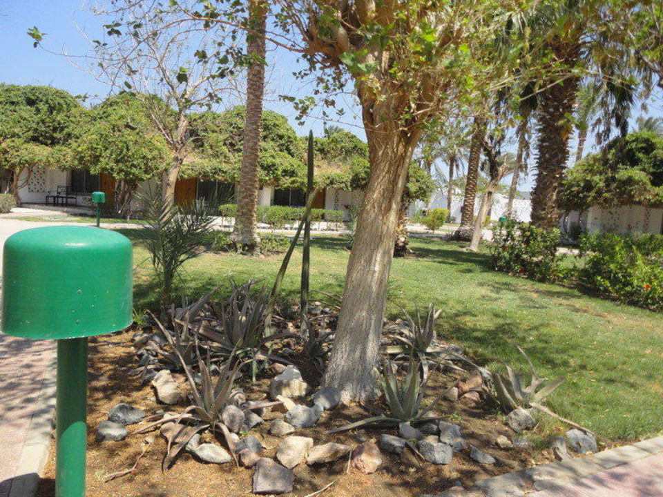 Ogród Shams Safaga Resort
