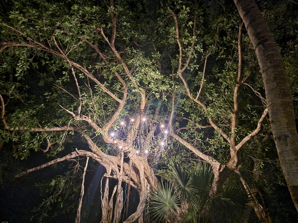 Gartenanlage Catalonia Playa Maroma