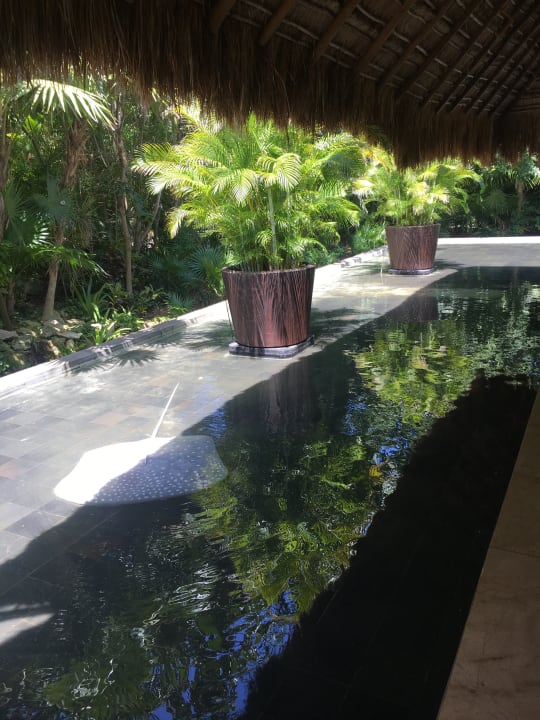 Außenansicht Blue Diamond Luxury Boutique Hotel