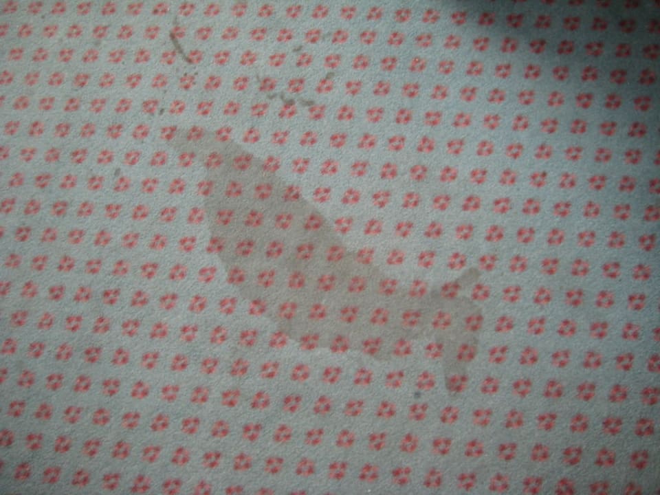 Flecken Zimmerteppich Entrée Hotel Glinde