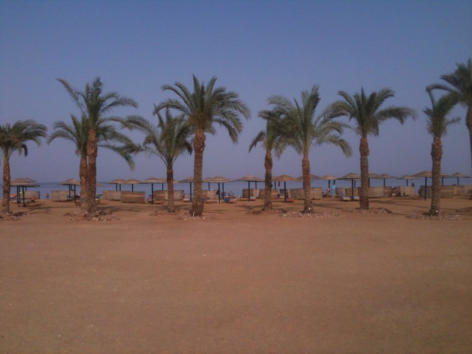 Weitläufiger schöner Strand Hotel Swiss Inn Dream Resort Taba