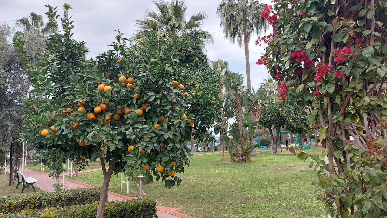 Gartenanlage Seher Kumköy Star Resort & Spa