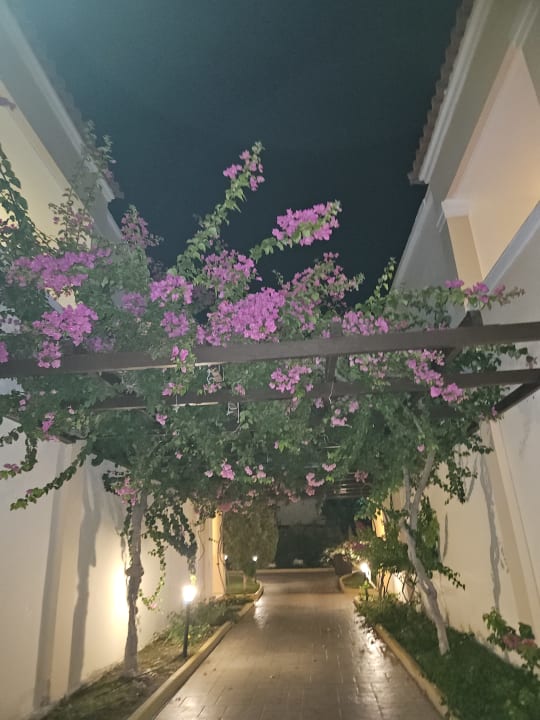 Gartenanlage Lindos Princess Beach Resort & Spa