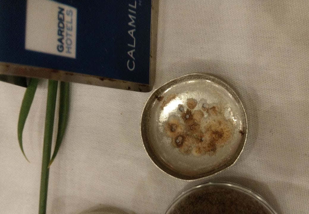 Salzstreuer Hotel Cala Millor Garden - Adults only