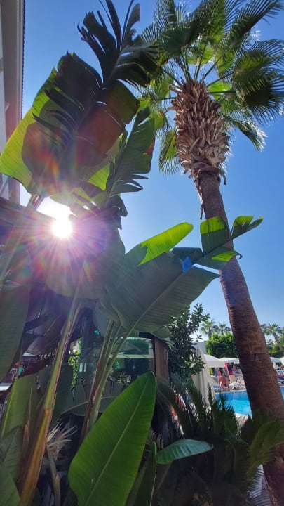 Gartenanlage Aydinbey Kings Palace & Spa