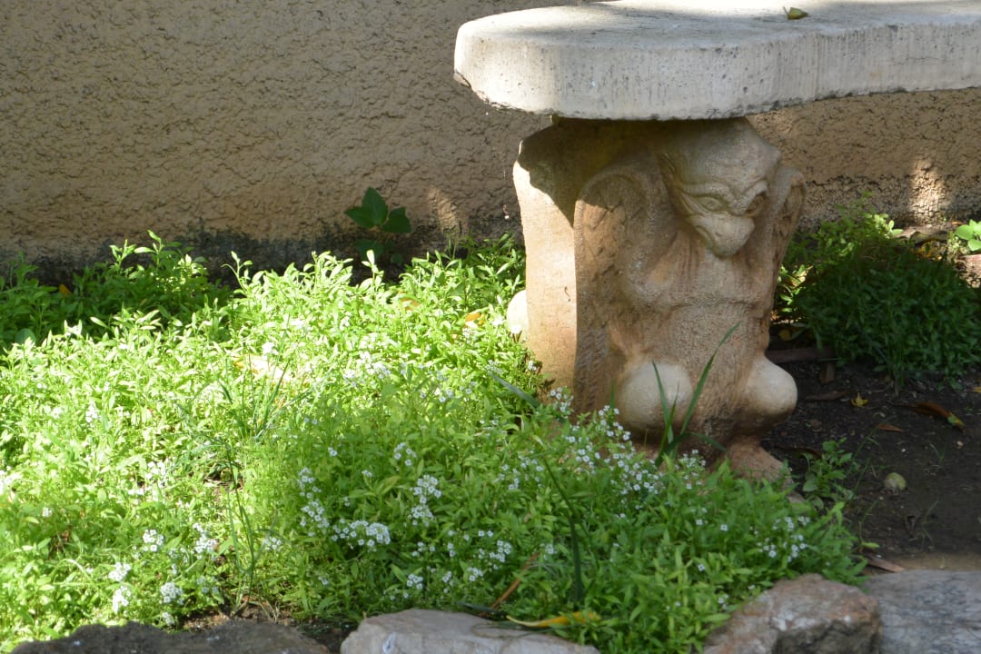 Sonstiges R2 Lago Playa Park