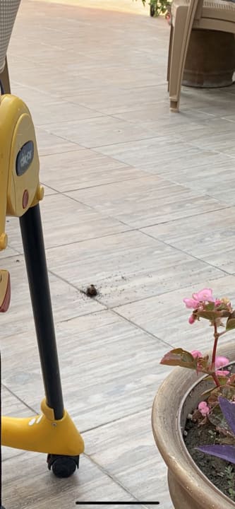 Gastro Akdora Resort & Spa