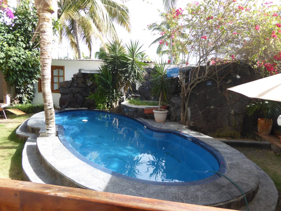 Kleiner Pool im Innenhof Hotel Albemarle