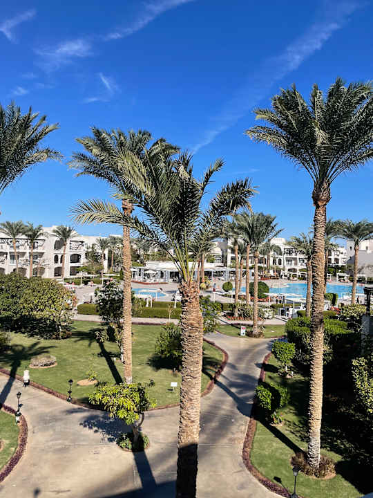 Gartenanlage Steigenberger Alcazar