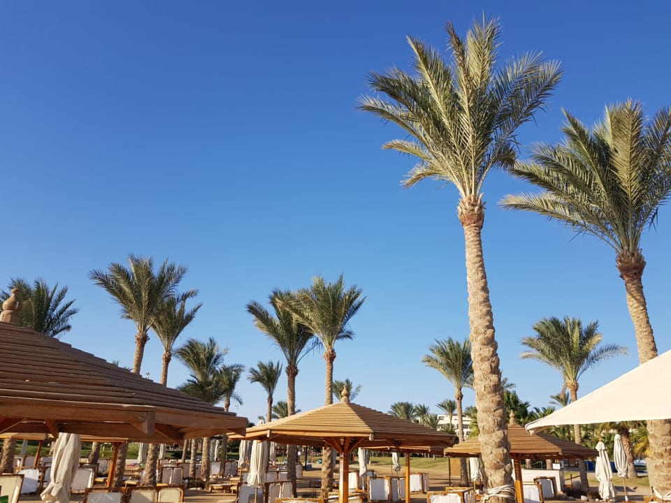 Gartenanlage Steigenberger ALDAU Beach Hotel