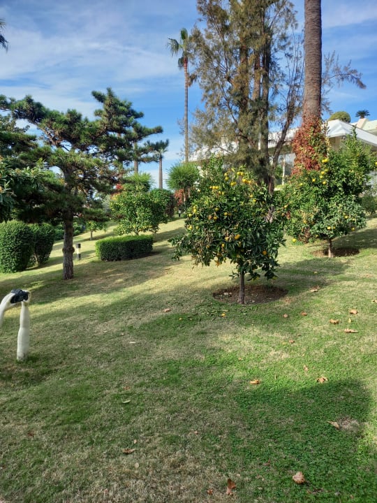 Gartenanlage Side Star Elegance