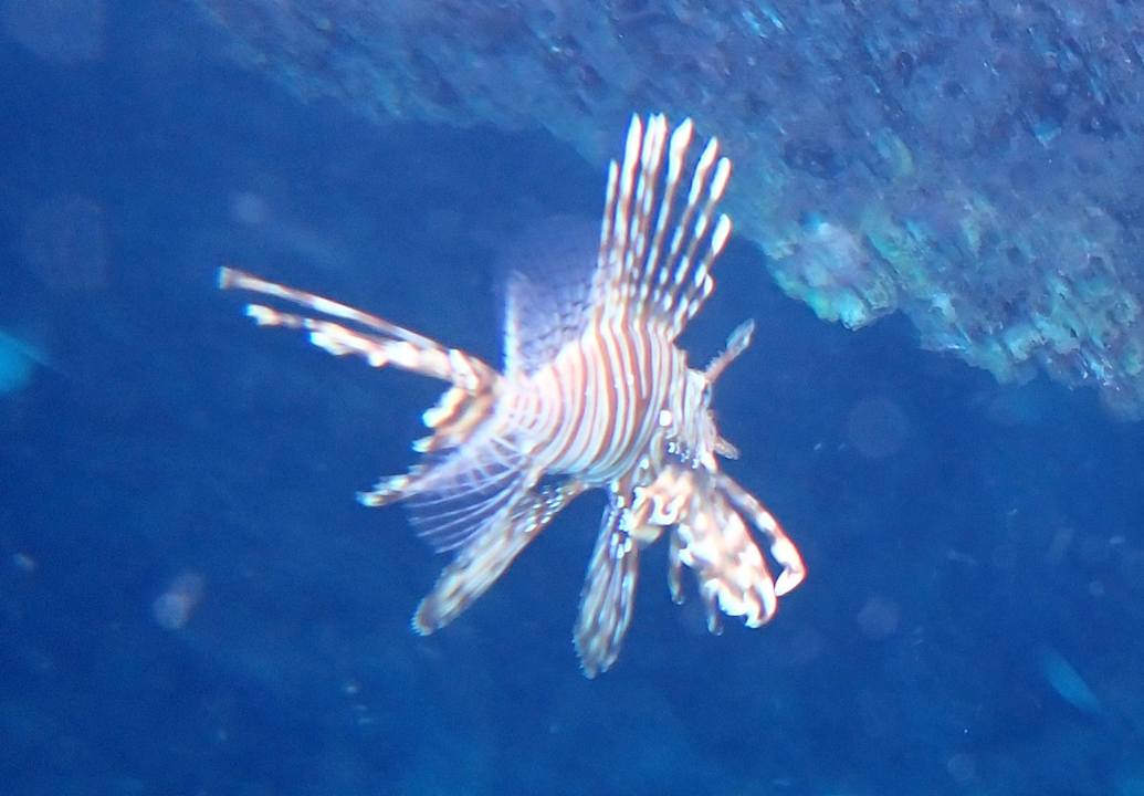 Sonstiges Cleopatra Luxury Beach Resort Makadi Bay - Adults only