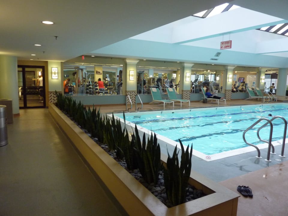 Blick über den Pool Hotel Boston Marriott Copley Place