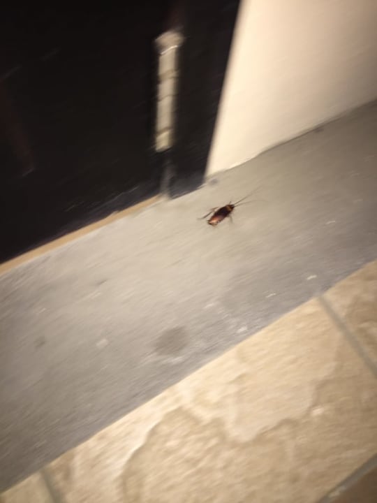 Zimmer Pearle Beach Resort & Spa