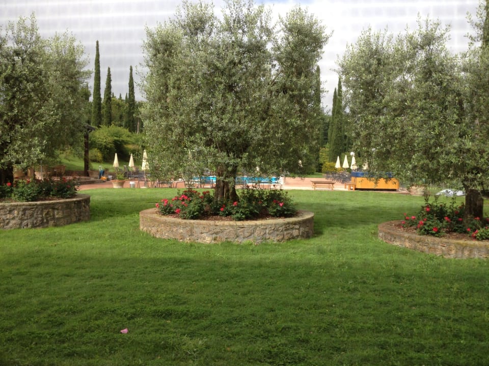 Vanuit de kamer Agriturismo La Sovana