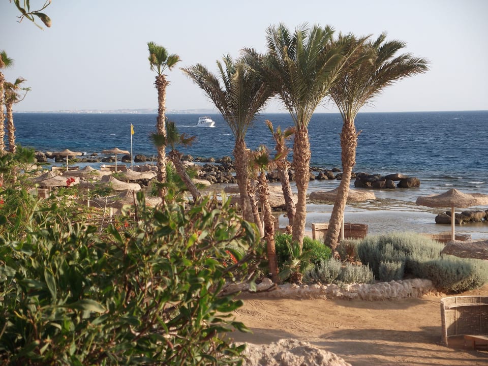 Strand  Pickalbatros Citadel Resort