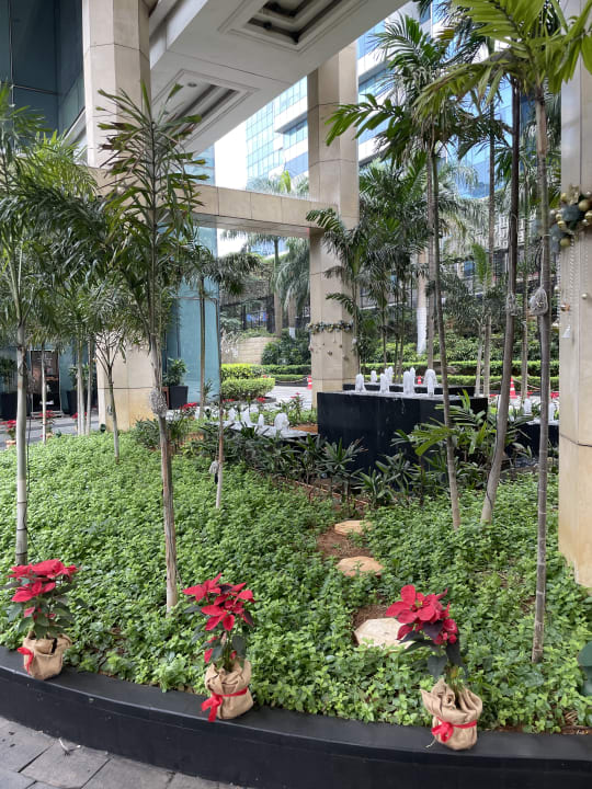 Gartenanlage The Ritz Carlton Bangalore