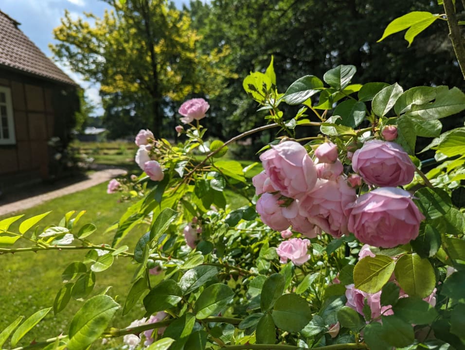 Gartenanlage Ferienbauernhof Leverenzhof
