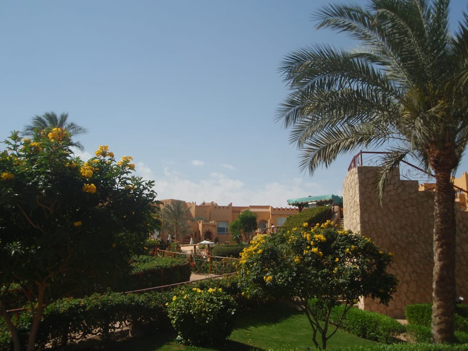 The green area of ​​the hotel Rehana Royal Beach Resort Aqua Park & Spa