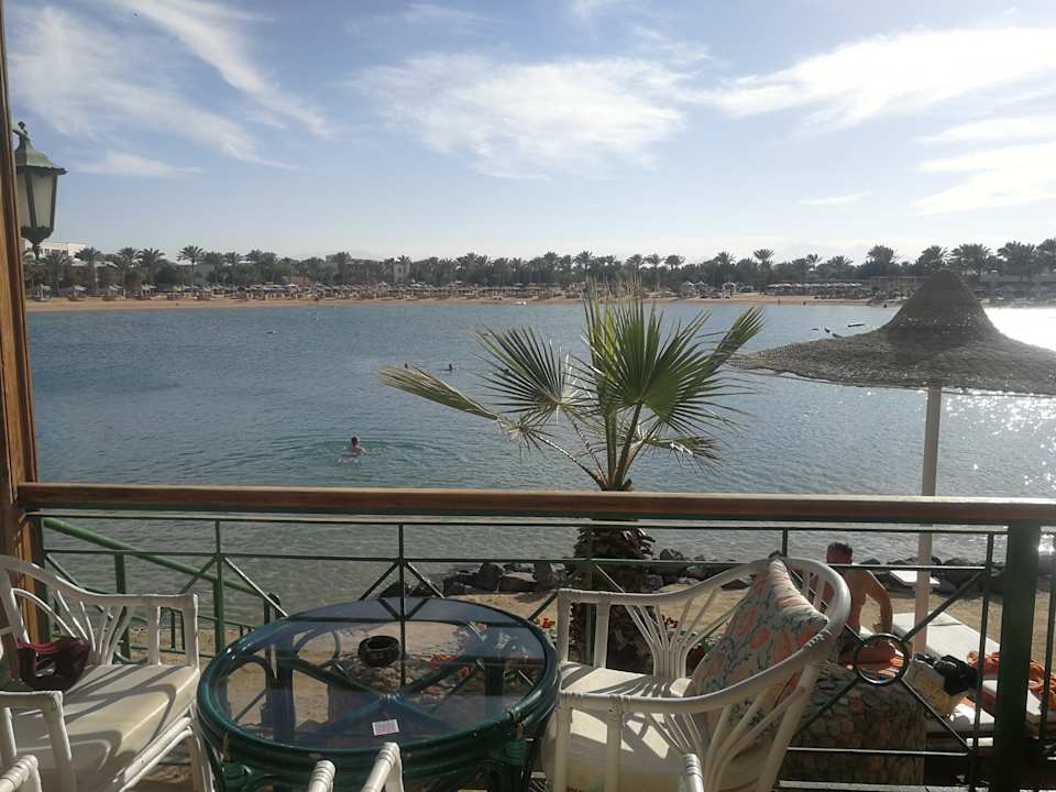 Ausblick Desert Rose