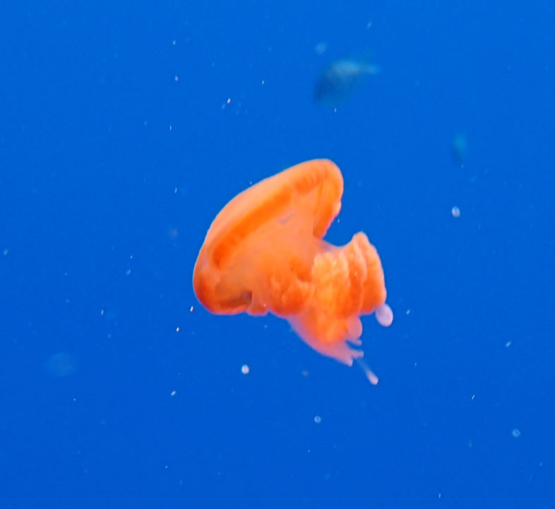 Sonstiges Casa Mare Resort