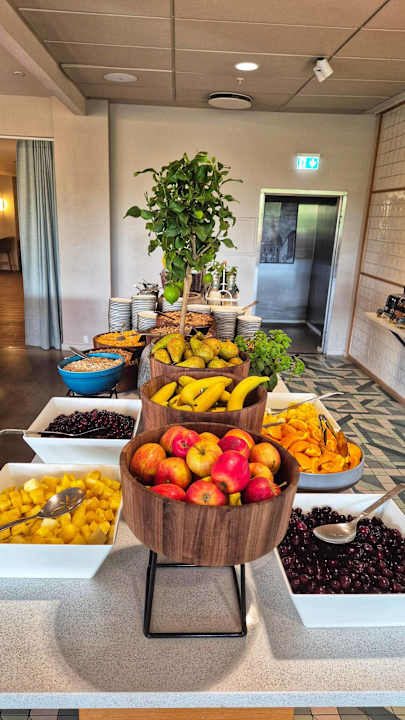 Gastro Hotel Radisson Blu Scandinavia