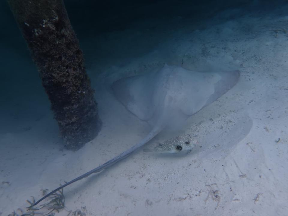 Strand Cocoon Maldives