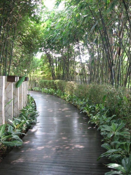 CHI Spa Hotel Shangri-La Rasa Sayang Resort
