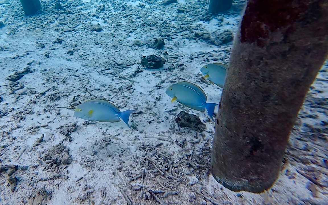 Sport & Freizeit Meeru Maldives Resort Island