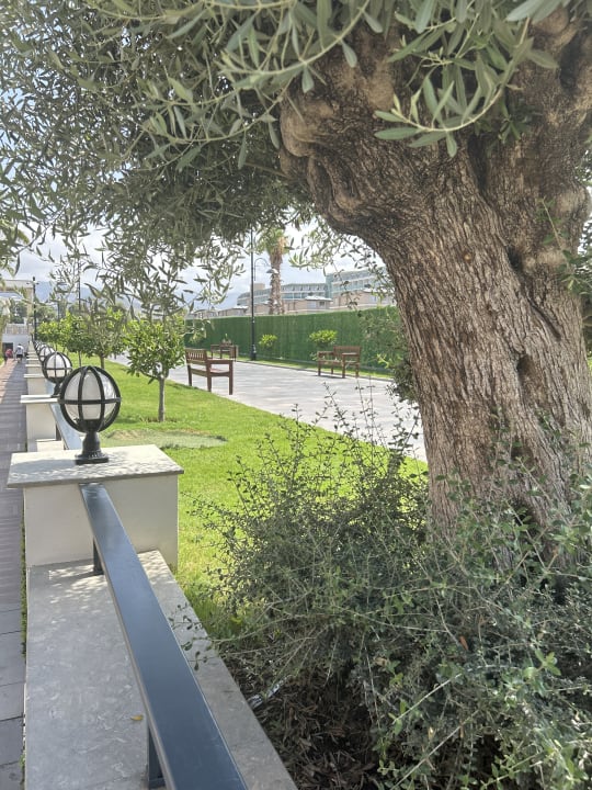 Gartenanlage Serenity Queen Hotel