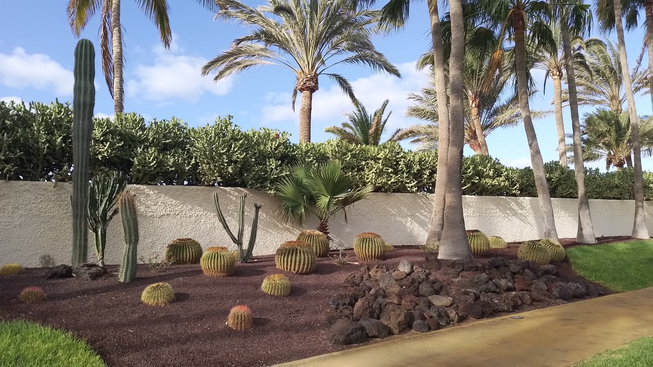 Gartenanlage ROBINSON JANDIA PLAYA