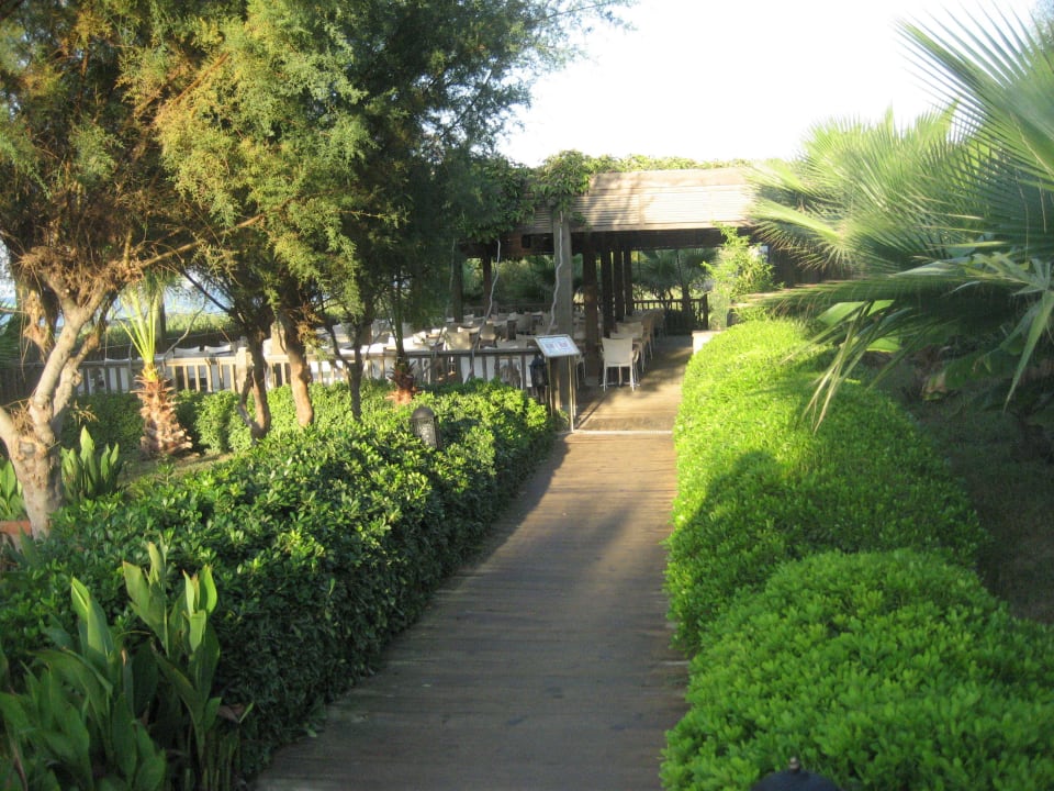 Untere Strandbar Trendy Aspendos Beach Hotel