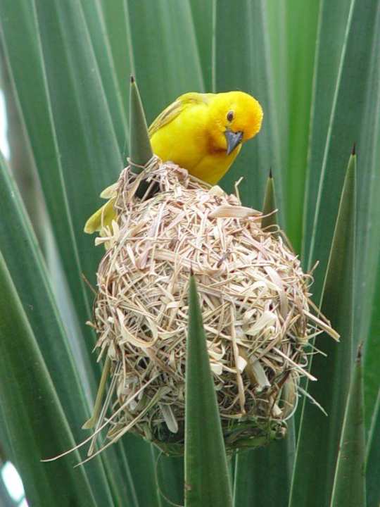 LTI-Kaskazi Beach Hotel Kaskazi Beach Resort