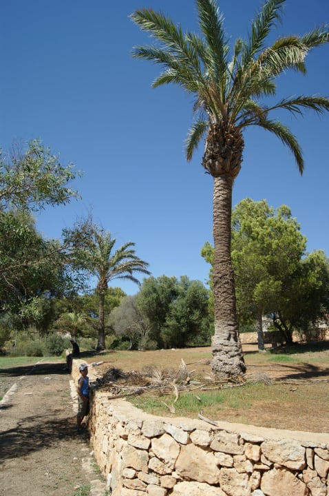 Gartenanlage Sun Club Eldorado