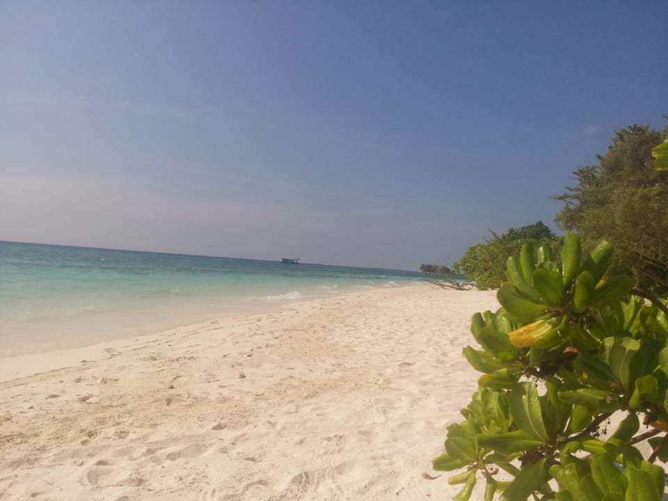 Südseite Strand Kuredu Island Resort & Spa